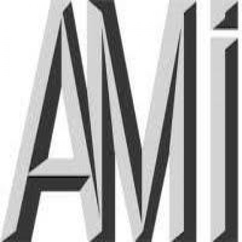 Ami logo3